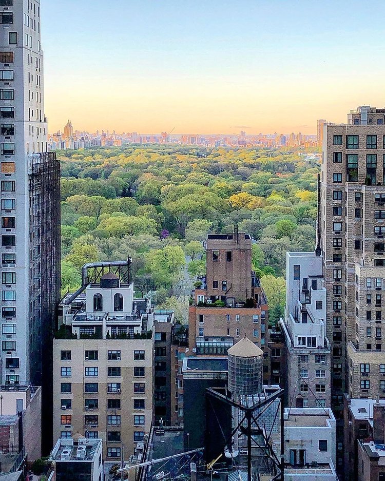 Central Park from Midtown, Manhattan