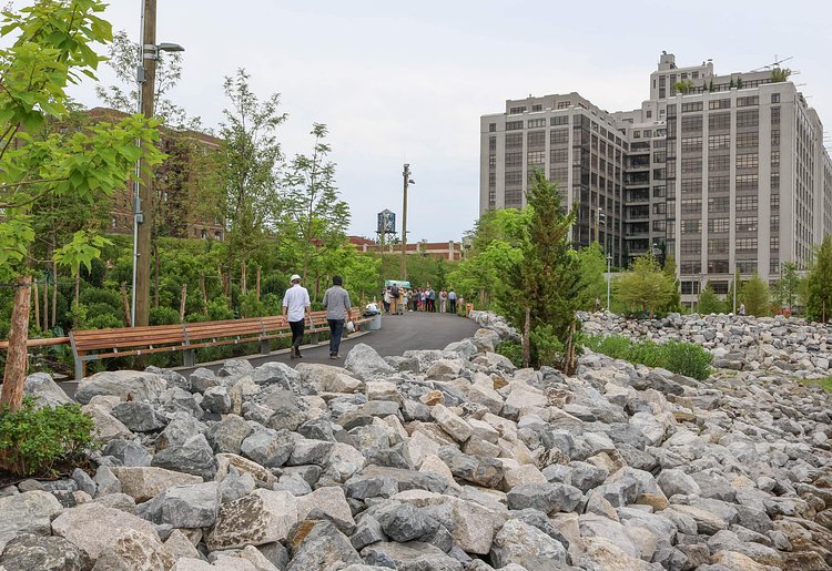 Brooklyn Bridge Park Pier 5 Uplands Green Space