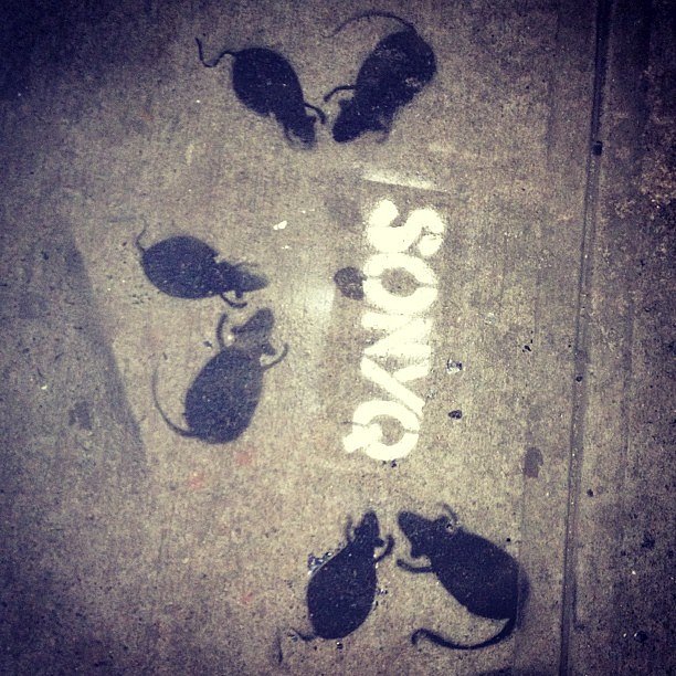 #streetart #newyork rats. #nyc #travel