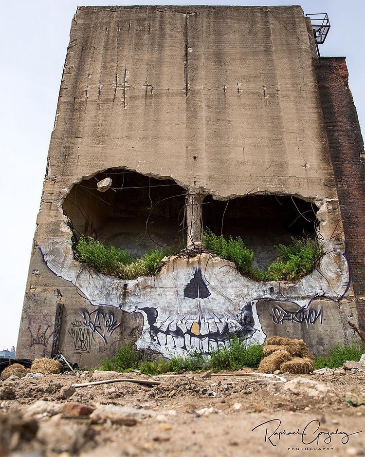 Greg Suits' Skull Mural in Greenpoint