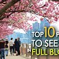 Top 10 Places To See NYC in FULL BLOOM