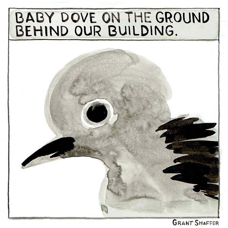 #dailycomic #comics #illustration #sketchbook