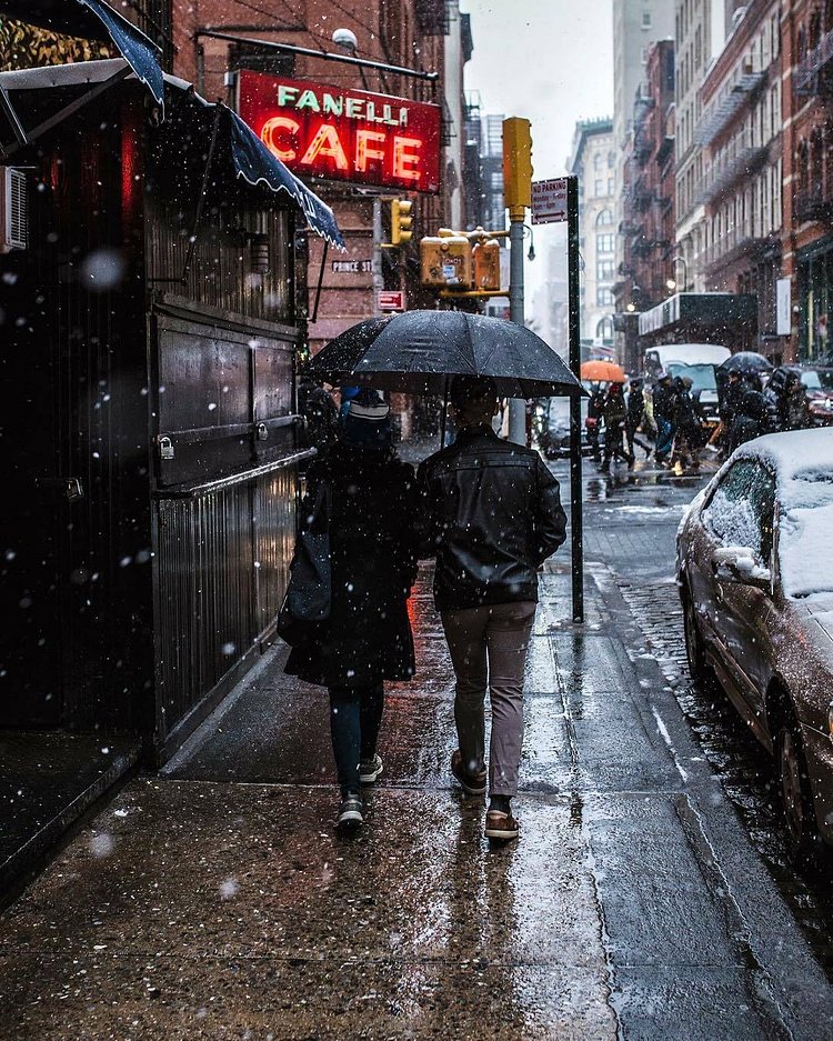 Fanelli Cafe, SoHo, New York, New York.
