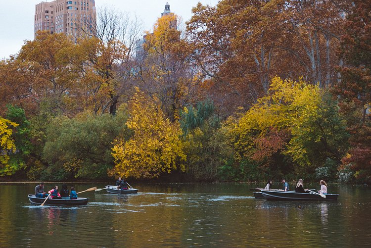Autumn in Central Park