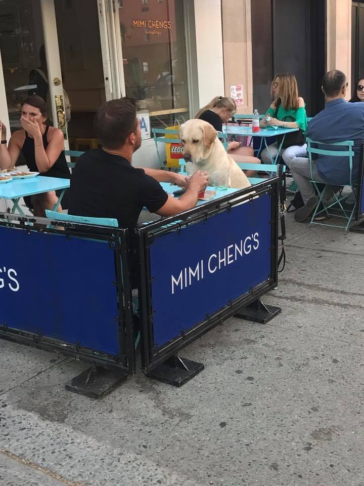 This date looks like it's going well