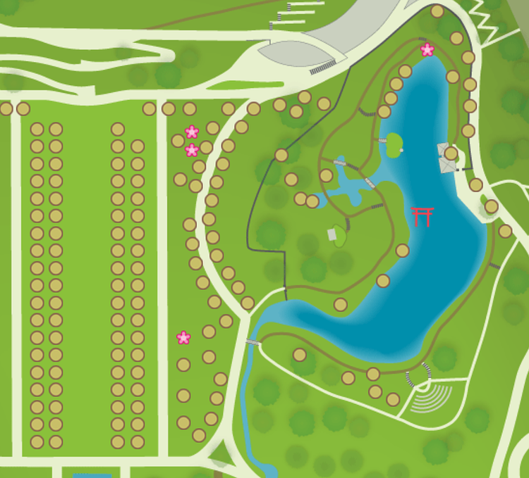 Brooklyn Botanic Garden's Cherry Watch (screenshot)