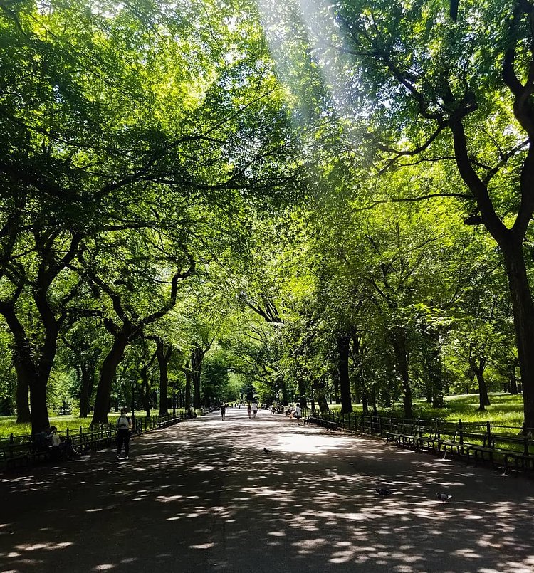 The Mall in Central Park, Manhattan
