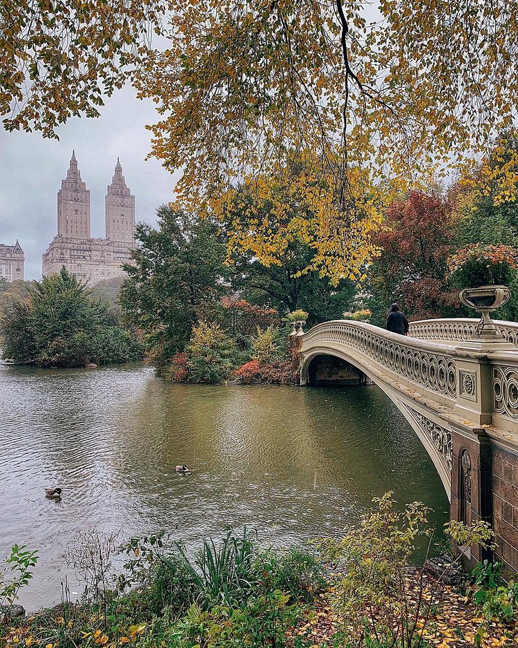 Bow Bridge, Central Park