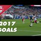 Every Single Goal of 2017!