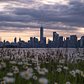 Lower Manhattan Skyline from New Jersey