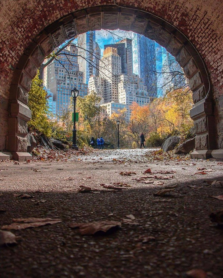 Central Park, New York