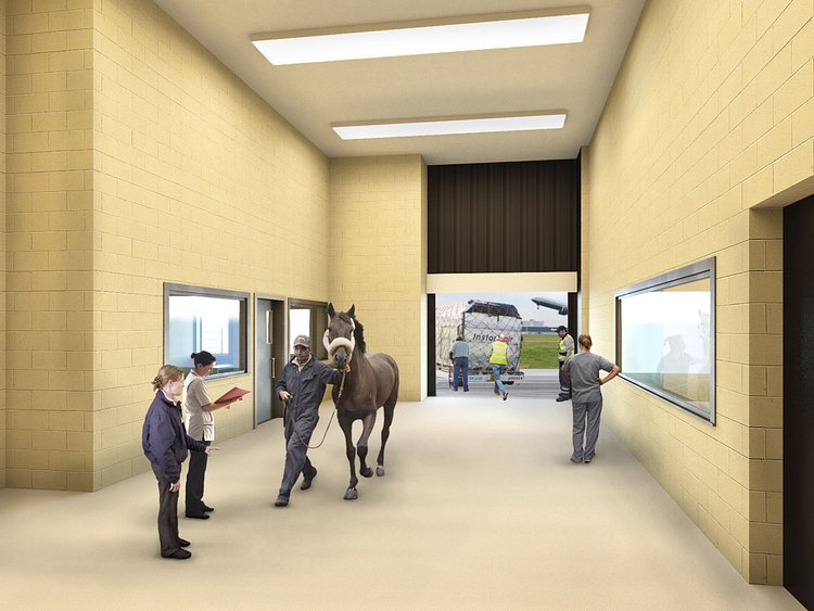 This undated artist rendering courtesy of ARK Development shows a horse being escorted into a planned new luxury terminal at NYC's JFK Airport.