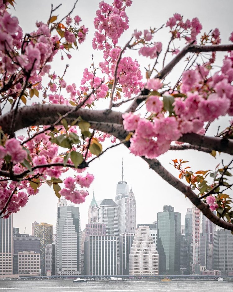 Lower Manhattan Skyline from Brooklyn