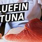 How To Make Sushi Out of a 450 Pound Bluefin Tuna