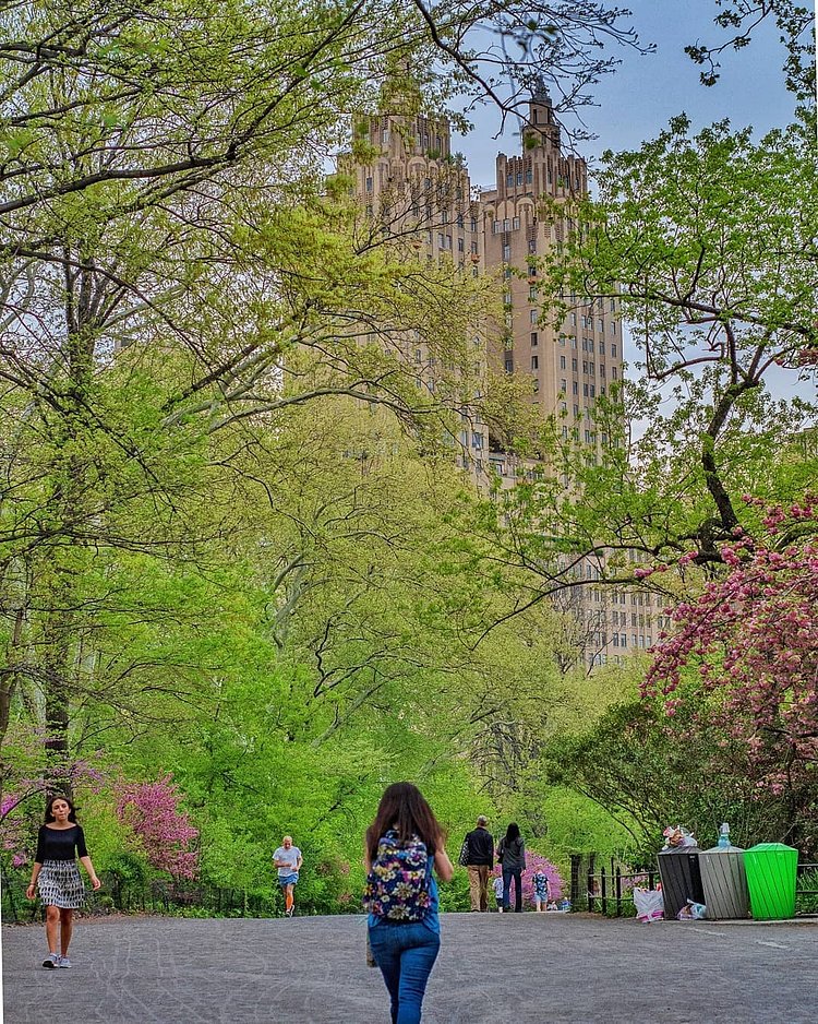 Central Park and The San Remo, New York, New York