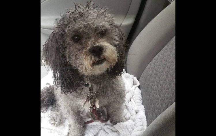 At least mom has a car!