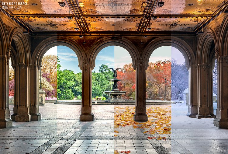 4 Seasons of Bethesda Terrace, Central Park, New York, New York