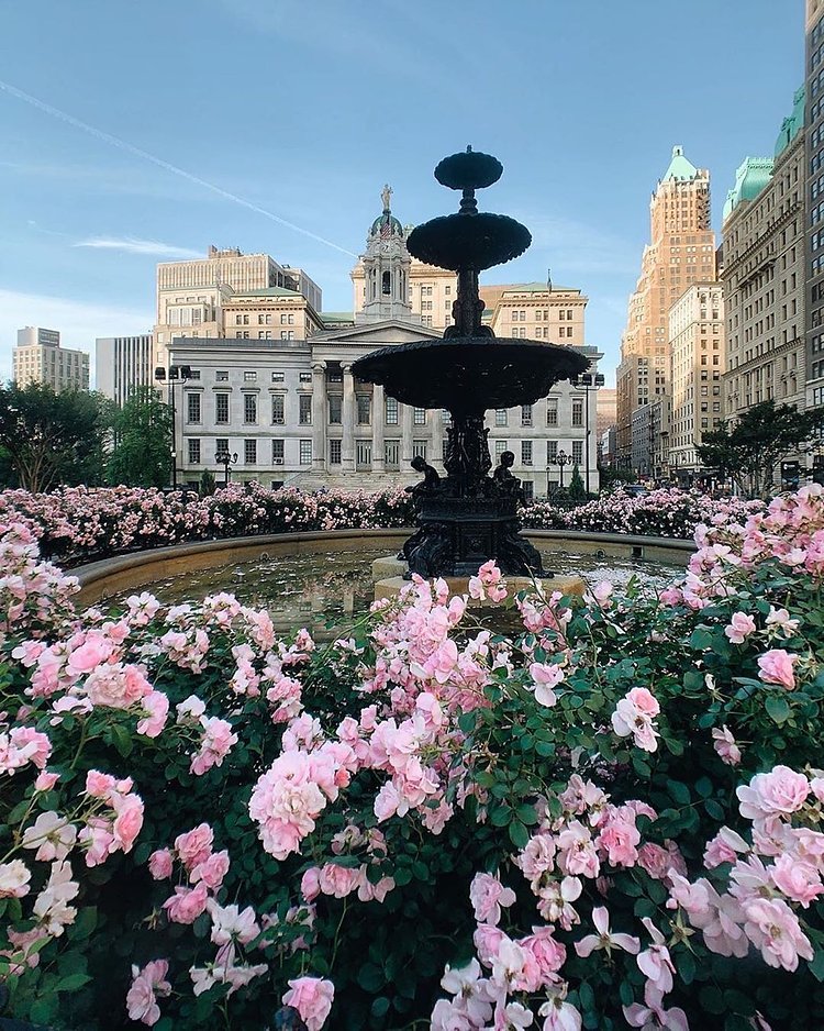 Brooklyn Borough Hall, Downtown, Brooklyn.
