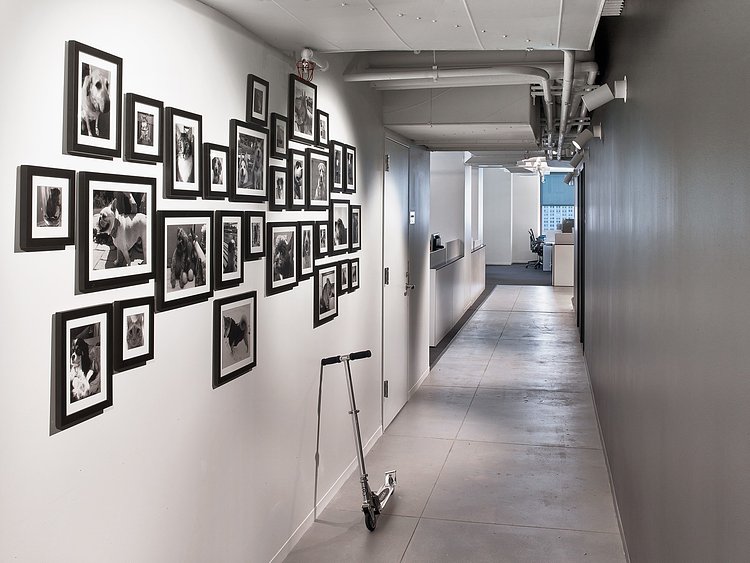 The Wall of Employee Pets
