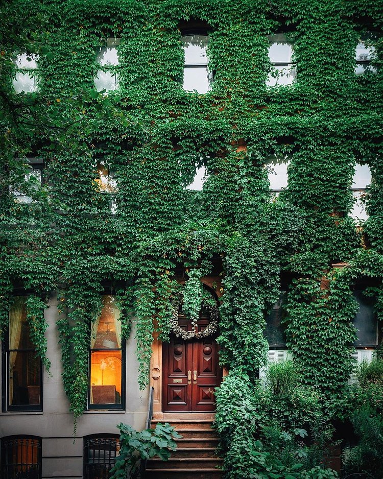 Fort Greene, Brooklyn