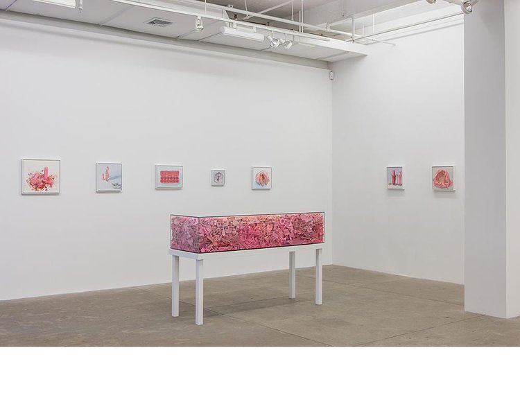 A Visual Art Exhibit That Offers A Unique Display Of Femininity 
