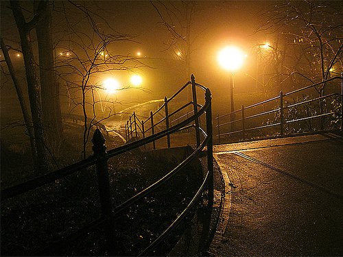 Inwood Hill Park | Courtesy of the lovely Mikael Axelsson 