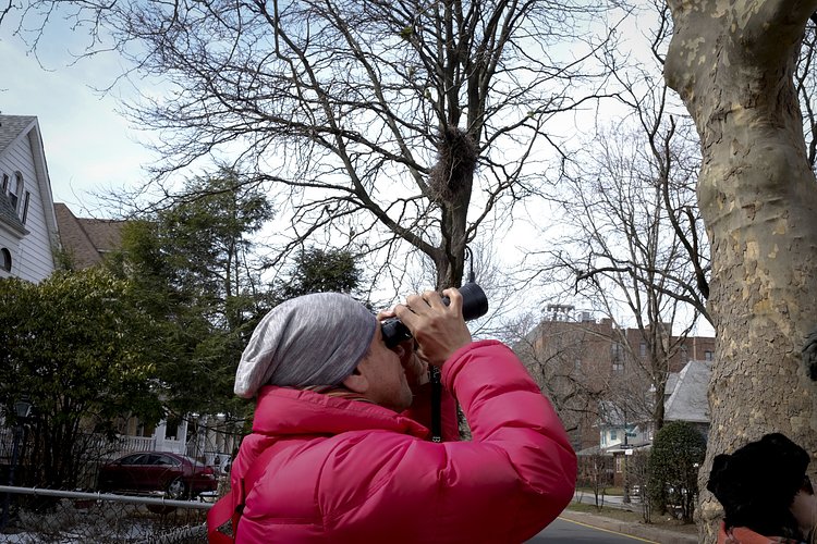 A bird watcher gets an up close look at the Brooklyn parrots with the help of binoculars on the March 5, 2016 tour.