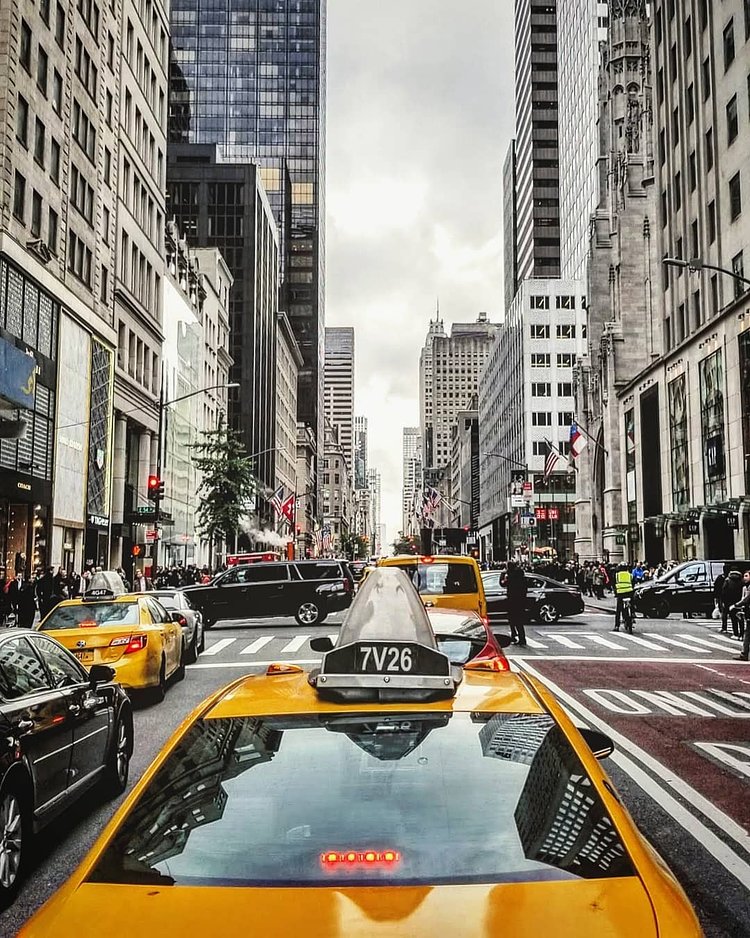 Fifth Avenue, New York, New York