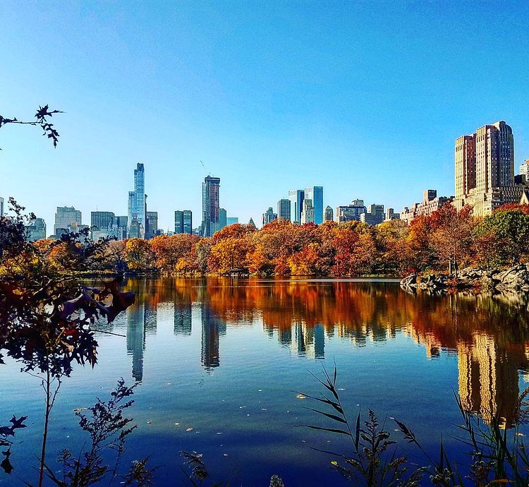 Central Park Fall