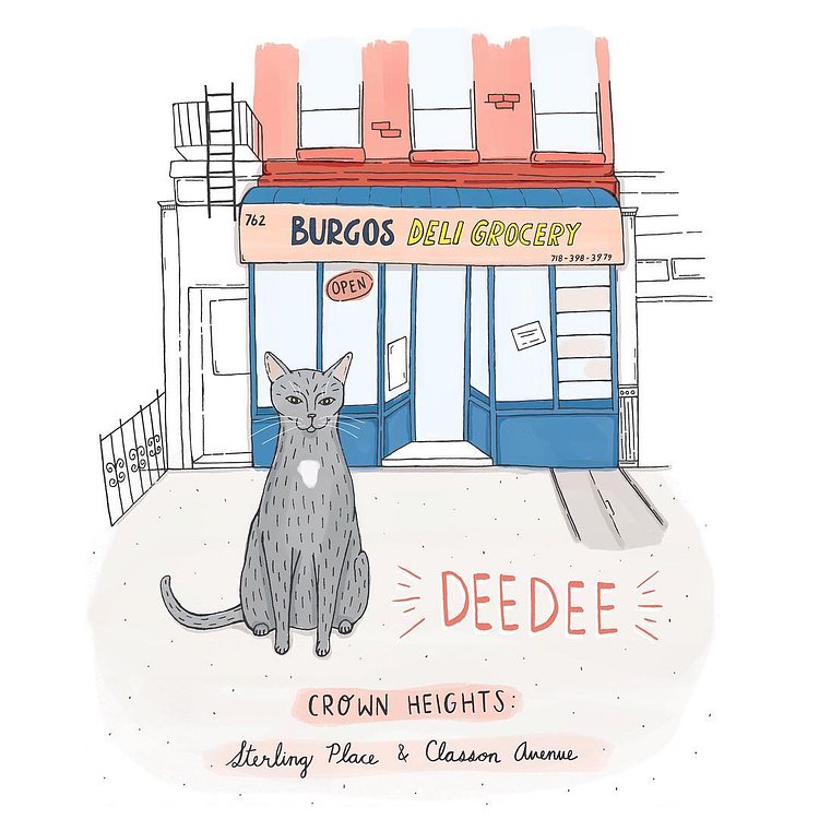 Deedee // Crown Heights, Brooklyn 
#brooklynbodegacats #brooklyn #bodegacats #bodegacatsofinstagram #brooklynbodega #catillustration #illustration #brooklynillustrators #cats #catsofinstagram #crownheights