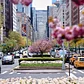 Park Avenue, Midtown, Manhattan