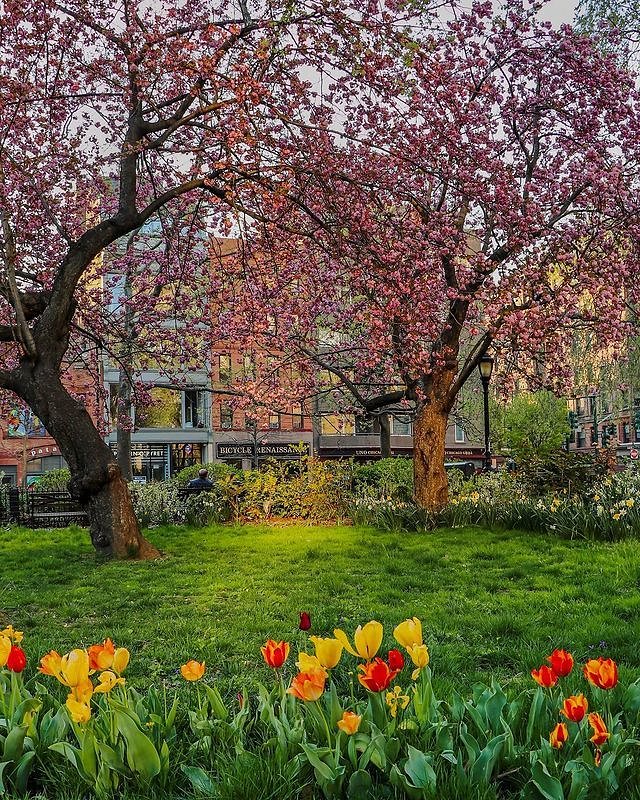 Theodore Roosevelt Park, Upper West Side, Manhattan