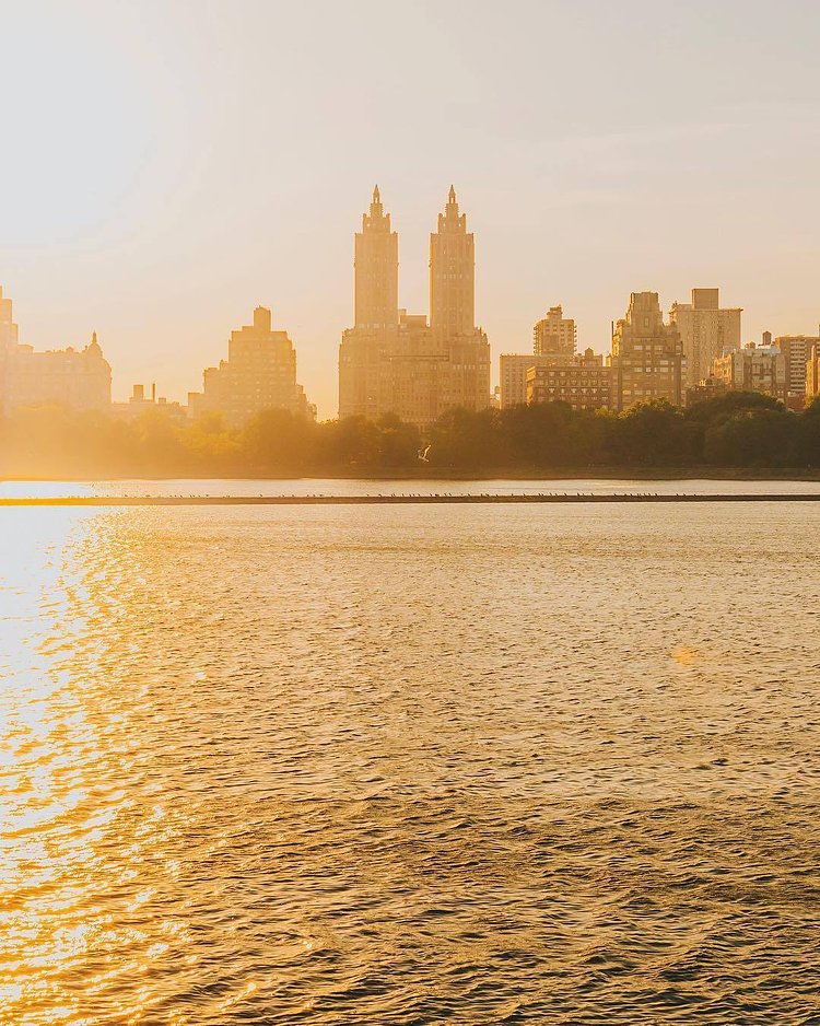 Central Park Lake, New York. Photo via @mc_gutty #viewingnyc #newyork #newyorkcity #nyc