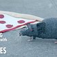 Meet the Rebels against New York's War on Rats | Going In with Brian Vines
